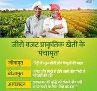 Zero Budget Natural farming